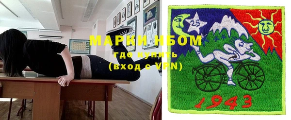 стаф Грязовец